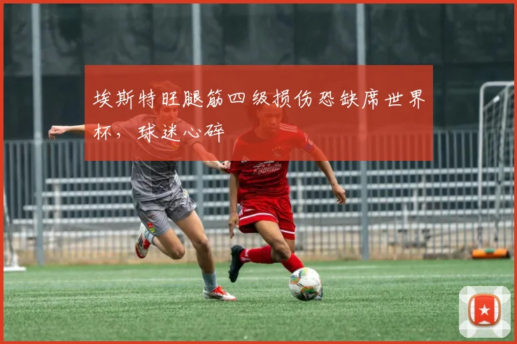 埃斯特旺腿筋四级损伤恐缺席世界杯,球迷心碎
